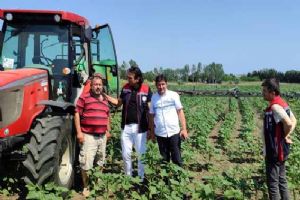Silivri’de Ayçiçek tarlalarına yerinde takip