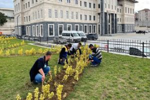 Silivri’de yeşil alan çalışmaları sürüyor