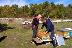 link Silivri’de Arılı Kovan Tespitleri başladı