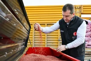 link Silivri Belediyesi 1.500 Dönümde Buğday ekimine başladı