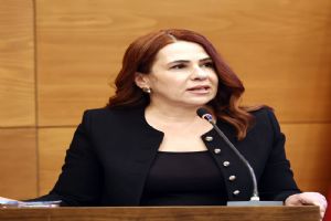 Silivri MHP Grup Başkanvekili Aşkın: Sanki başka bir ilçeden bahsediliyor!