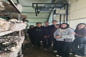 Silivri Şerife Baldöktü Lisesi Öğrencilerinden Mantar Üretim Tesislerine Teknik Gezi