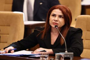 link Silivri MHP Grup Başkan Vekili Sultan Aşkın: Bu türlü söylemler bize vız gelir tırıs gider