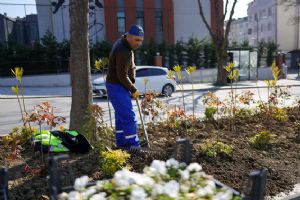 link Silivri’de park ve yeşil alanlar bahara hazırlanıyor