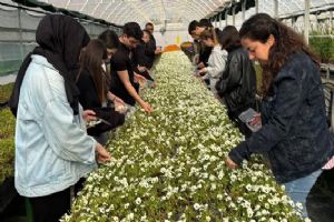 Silivri Şerife Baldöktü MTAL tarım öğrencilerinden Mimi Çiftliği’ne Teknik Gezi