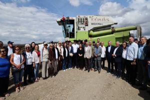 Silivri Gazitepe’de Ayçiçeği hasadı: İBB ve Silivri Belediyesi tarımsal destekleri açıkladı