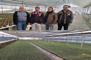 link Silivri’de olumsuz hava koşullarından etkilenen çiçek seraları incelendi