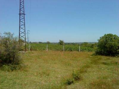 IşIklar: Çevre tahribatına izin vermeyiz