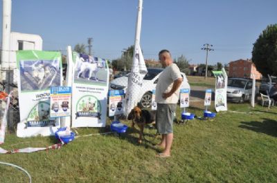 Dog Show, Kavaklı’da yapıldı Dog Show, Kavaklı’da yapıldı