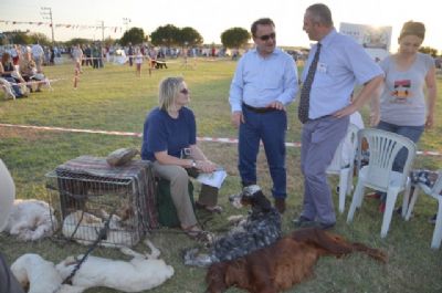 Köpek ırkları 4. kez Silivri’de yarıştı Köpek ırkları 4. kez Silivri’de yarıştı
