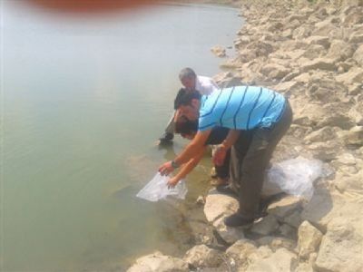 Silivri’ye sazan takviyesi