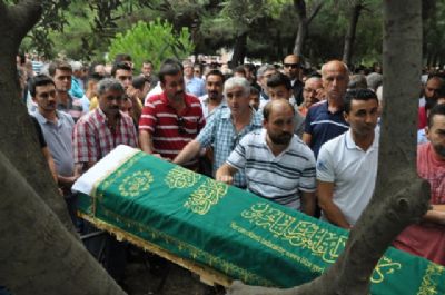 Bir çınar daha devrildi