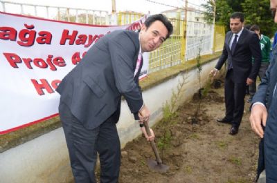 Fidanlar toprakla buluştu