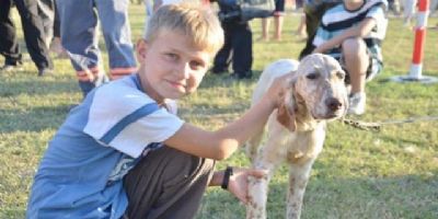 Köpek Irkları yarışması bu gece başlıyor