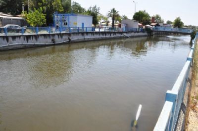 Kurbağalı ile yarışıyoruz