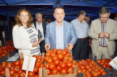 Domates Festivali ve Tarım Fuarı Günleri
