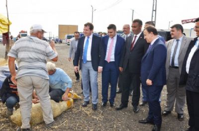Işıklar satış ve kesim alanlarını ziyaret etti - 28 Eylül