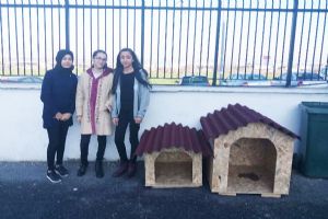 Sokaktaki dostlar için liseliler de harekete geçti