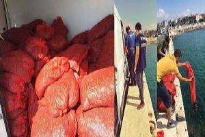 Silivri’de 2900 kg kara kıllı midye ele geçirildi