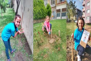 Öğretmen hediyesi fidanlar dikildi
