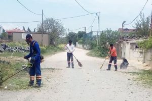Silivri’de bahar temizliği