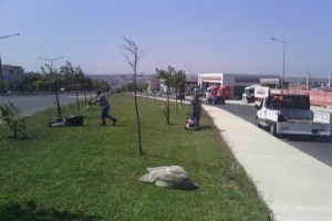 Peyzaj ve düzenlemelere devam