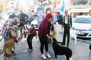 İYİ Parti’den örnek etkinlik
