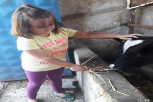 Sevimli dostlarla sevgi dolu kareler