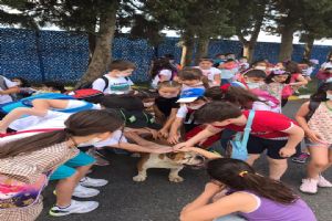 Piri Paşalı minikler, barınaktaki dostlarını ziyaret etti