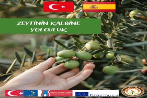 TÜRAM öğrencileri İspanya’da staj yapacak