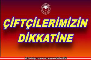 Destek ödeme icmalleri askıda