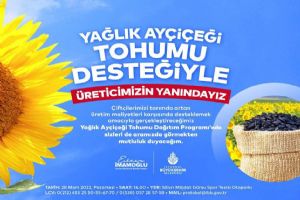 Yağlık Ayçiçeği Tohumu Dağıtım Programı
