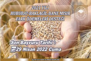 Fark Ödemeleri Desteği