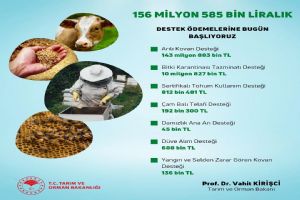Destek ödemeleri bugün başlıyor