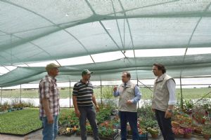 İl Tarım Müdürü seraları ziyaret etti