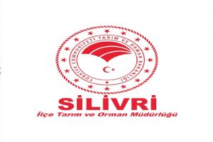 İlaçlama çalışmaları gece devam ediyor