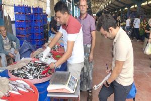 Balık kontrolleri yapıldı