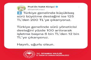 2022 Destekleme Kararnamesi