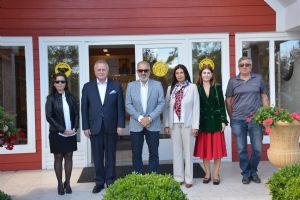Saral ve Rumeli kaynaşması