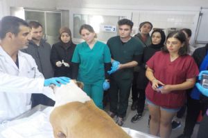 Küçük Hayvan Rehabilitasyon Merkezi ziyareti