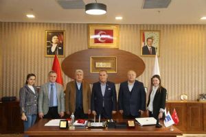 Ortak projeler üzerine istişare