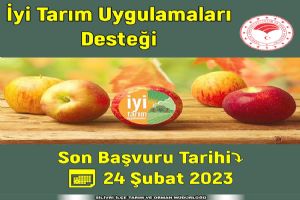 Destekleme duyuruları