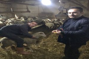 Tanımlama işlemleri başladı