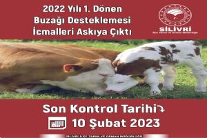 2022 Yılı 1. Dönem Buzağı Desteklemeleri askıya çıktı