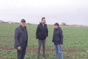 “Kanola çıkışları çiftçimizin yüzünü güldürdü”
