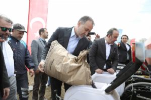 Silivri Belediyesi 1.000 dönüm arazisine milli ayçiçeği ekiyor