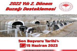 Buzağı Desteklemesi son başvuru tarihi 15 Haziran