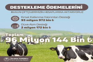 Destekleme ödemeleri