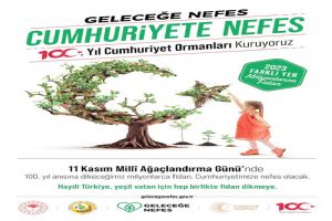 81 İlde Cumhuriyet Ormanları kurulacak