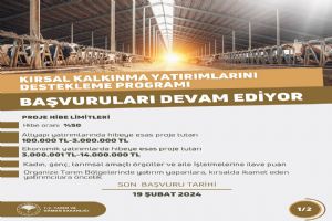 Destekleme Programı başvuruları sürüyor